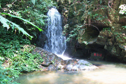 連山網站建設