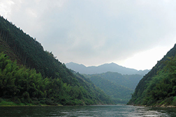 融水網站建設